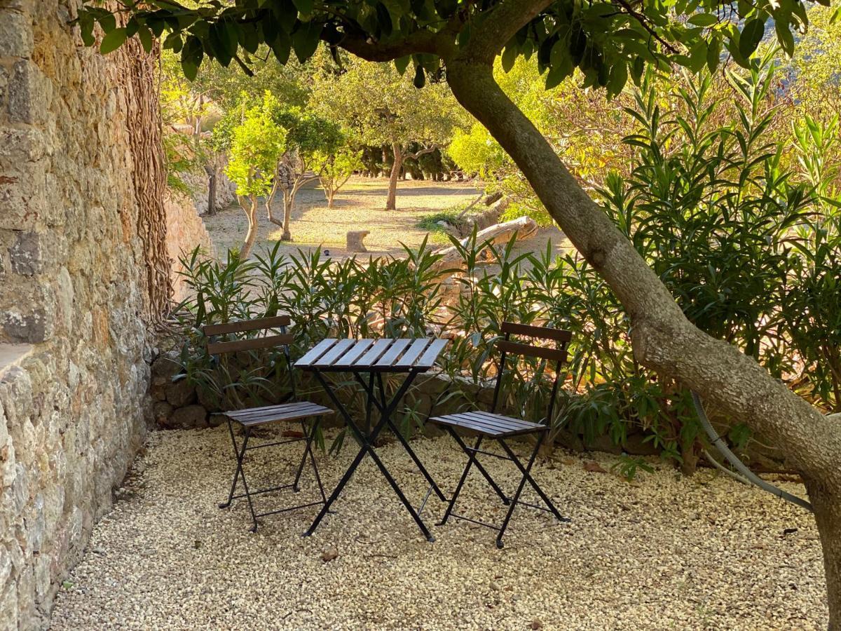 Mirabo De Valldemossa Εξωτερικό φωτογραφία